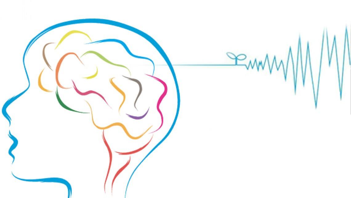 研究称电刺激大脑特定区域可提高人类短时记忆