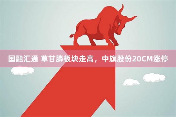 国融汇通 草甘膦板块走高，中旗股份20CM涨停