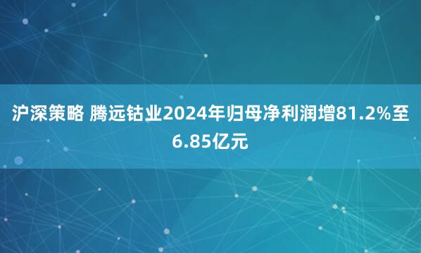 沪深策略 腾远钴业2024年归母净利润增81.2%至6.85亿元