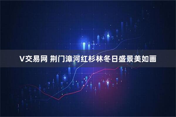 V交易网 荆门漳河红杉林冬日盛景美如画