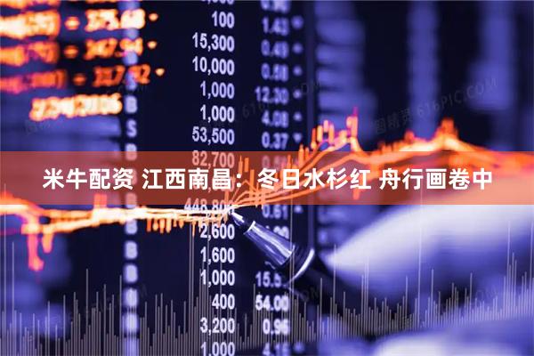米牛配资 江西南昌:冬日水杉红 舟行画卷中