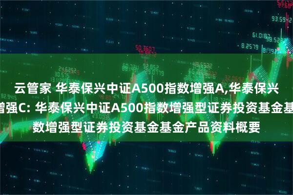 云管家 华泰保兴中证A500指数增强A,华泰保兴中证A500指数增强C: 华泰保兴中证A500指数增强型证券投资基金基金产品资料概要