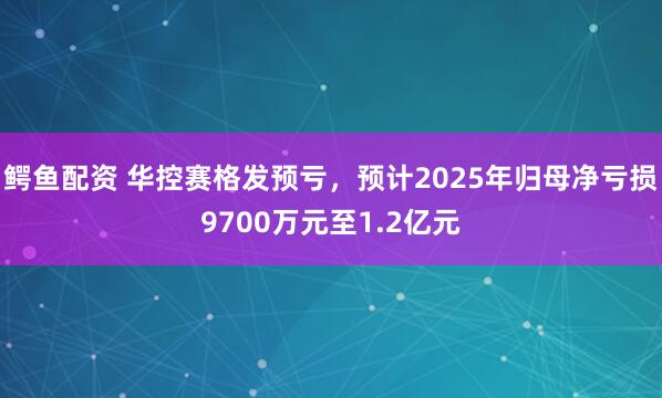 鳄鱼配资 华控赛格发预亏，预计2025年归母净亏损9700万元至1.2亿元