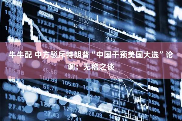 牛牛配 中方驳斥特朗普“中国干预美国大选”论调：无稽之谈